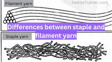 What is the Difference Between BCF and Staple Yarns?