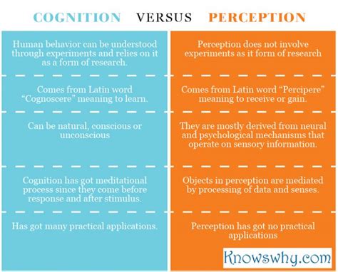 What is the Difference Between Cognition and Perception