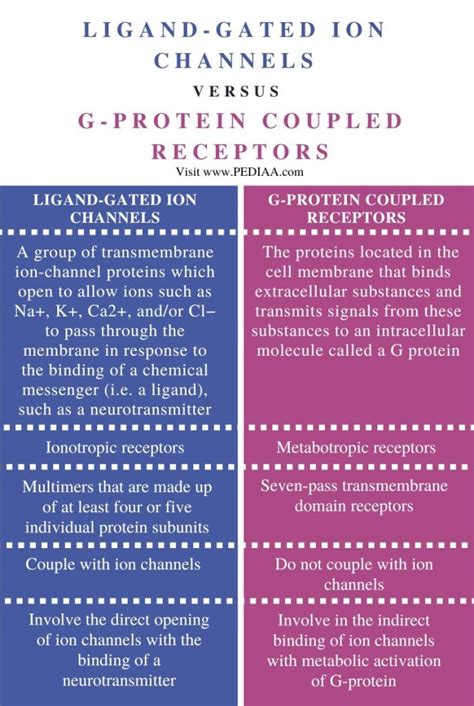 What is the Difference Between LigandGated Ion Channels and GProtein