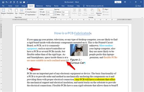 What is the Difference Between Page Break and Section Break