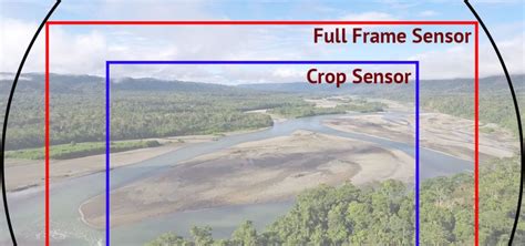 What is the Difference Between a Full Frame Sensor and a Crop Sensor