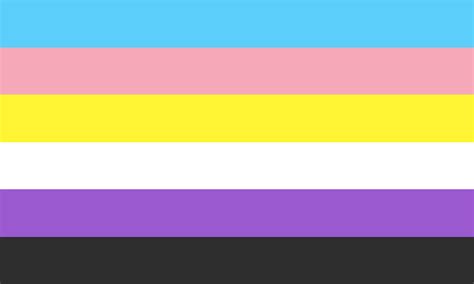 What is the Nonbinary Trans Flag and Meaning Behind Its Colors