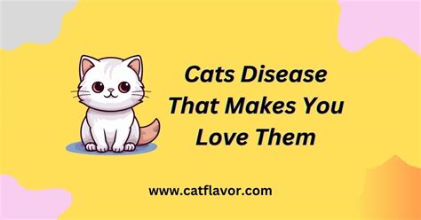 What is the Parasite that Makes You Love Cats?