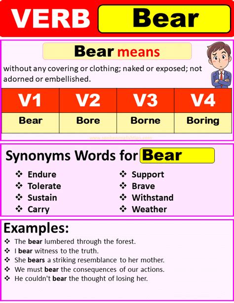 What is the Past Tense of Bear? The Word Counter