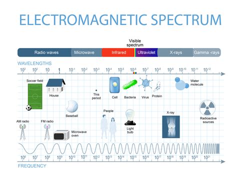 What is the SPECTRUM MooMooMath and Science