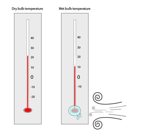 What is the Wet Bulb Temperature?