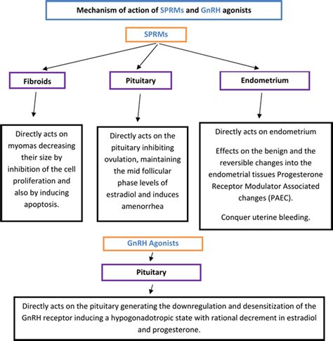 th?q=What+is+the+age+limit+for+uliprista