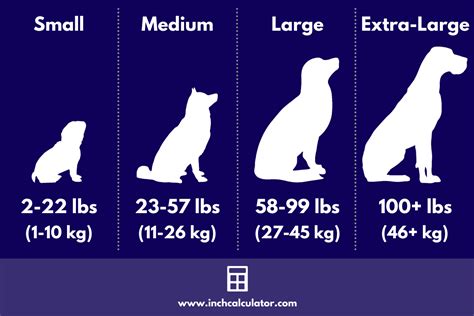 What is the average height and weight of a small dog