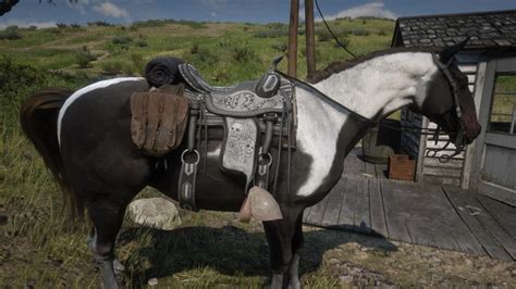 It's got a really good mix of overall stats plus mine doesn't get spooked at anything. Black Arabians are best overall stat wise but I find them to be a little too jittery and on edge. Plus, don't like how small the arabians are for aesthetic purposes. Nacogdoches saddle best for any horse as mentioned already.