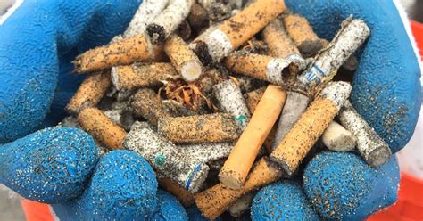 What is the best way to remove cigarette butts from your …