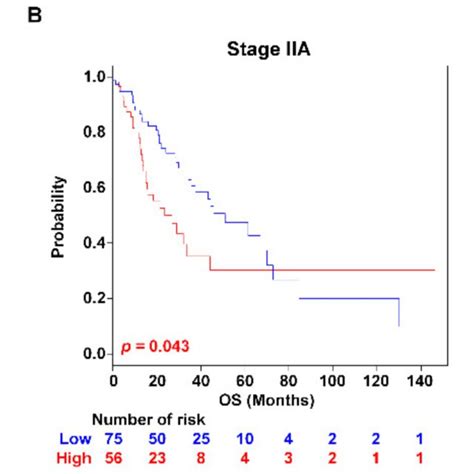 What is the best way to treat patients with stage IIA or IIB …