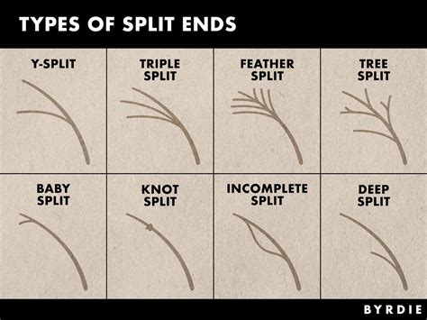 What is the biggest cause of split ends