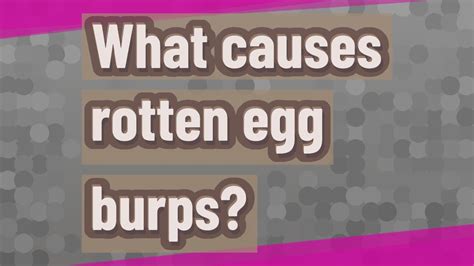 What is the cause of egg burps. What causes rotten burps? Eating lots of protein.Recurrent "rotten-egg" tasting burps could also be a symptom of Giardia lamblia infection. Giardia lamblia is a parasite that colonises and ... 