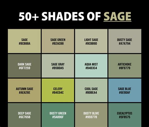 What is the color Sage? - kive.ai