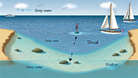 What is the definition of shoals.  Learn more.  a large number of fish swim...