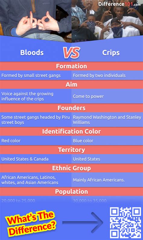 What is the difference between Bloods and Crips? The Bloods wear clothes with red coloring and are a street gang smaller than the Crips. The Crips, on the other hand, wear clothes with blue .... 