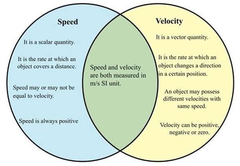 What is the difference between speed and velocity. - Brainly.ph