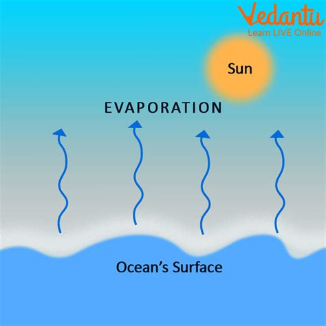 What is the effect of wind speed on evaporation? - Vedantu