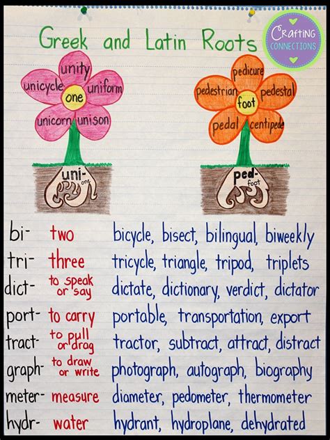 What is the greek root word for theory? - Answers