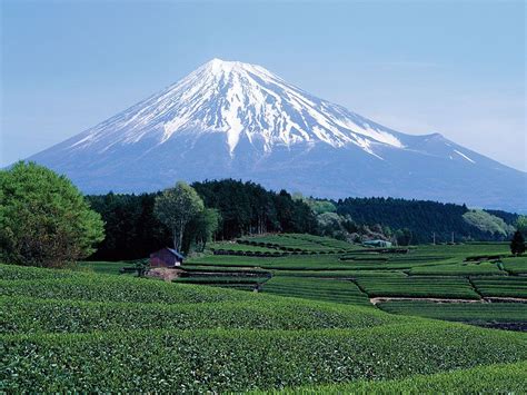 What is the height and width of Mt Fuji? – Sage-Advices