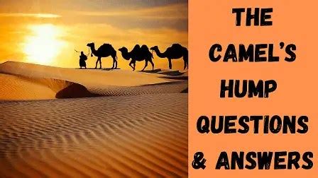 What is the hump of Africa? - Answers