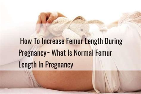 What is the importance of femur length during pregnancy?