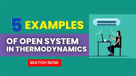 What is the importance of thermodynamics in everyday life?