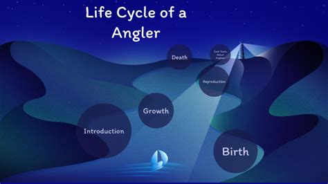 What is the life cycle of a angler fish? – AnswersAll