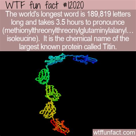What is the longest word in world blingkera
