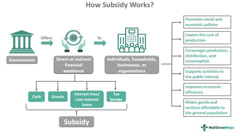 What is the meaning of incentives, subsidies and grants?