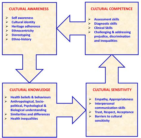 A model that incorporates this concept is described in Enhancing Cultural Competence in Social Service Agencies: Cultural competence at the broadest level of the organization influences cultural competence at the staff level and ultimately at the level of program design, implementation, and evaluation.2 . 