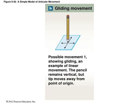 What is the origin of gliding