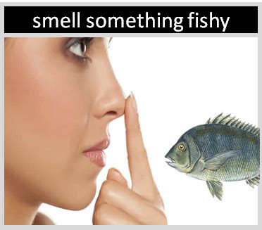 What is the origin of the phrase "something is fishy"