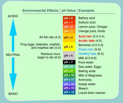 What is the pH of normal rain? Socratic