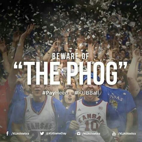 What is the phog at ku. Things To Know About What is the phog at ku. 