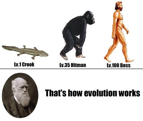 What is the principal theory of how evolution works. ٢٠ جمادى الأولى ١٤٣٨ هـ ... Charles Darwin's theory of evolution states that evolution happens by natural selection. Individuals in a species show variation in physical ... 