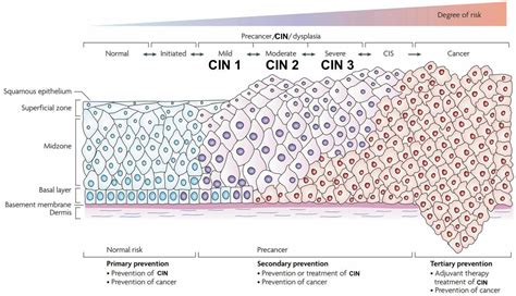 What is the prognosis for CIN1, CIN2, and CIN3/CIS?