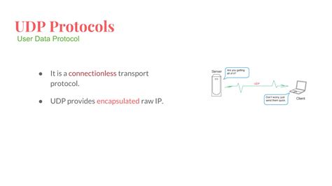 What is the protocol number for udp.  It is an identifier for the encapsulated protocol and det...