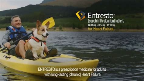 When taken as directed, Entresto is a prescription medication intended to improve the heart's ability to pump blood throughout the body for adults with chronic heart failure. Published May 11, 2021 Advertiser Entresto Advertiser Profiles Facebook Products Entresto Promotions Pay as little as a $10 co-pay Tagline “The Beat Goes On” Songs - …. 