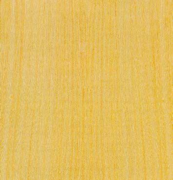 What is this yellow wood??? - FineWoodworking