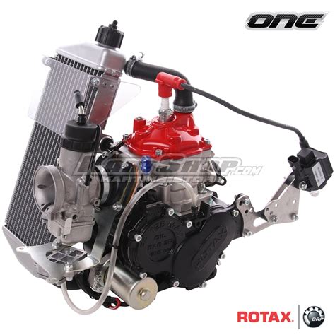 What is unique about Rotax engines