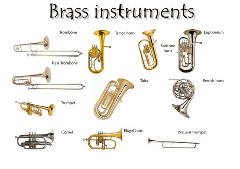 What is used to repair big brass band instruments answers. What is used to repair big brass instruments math answers. Extensive red rot on a 40-year-old instrument. An instrumentalist is someone who performs on an instrument. To avoid damage to the instrument body, it is best to initially grab the ball with the magnet at a reinforced bow guard. Brass Instrument Repair Near Me 