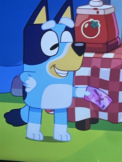 What is with these crazy Bluey fan theory’s? : r/bluey - Reddit