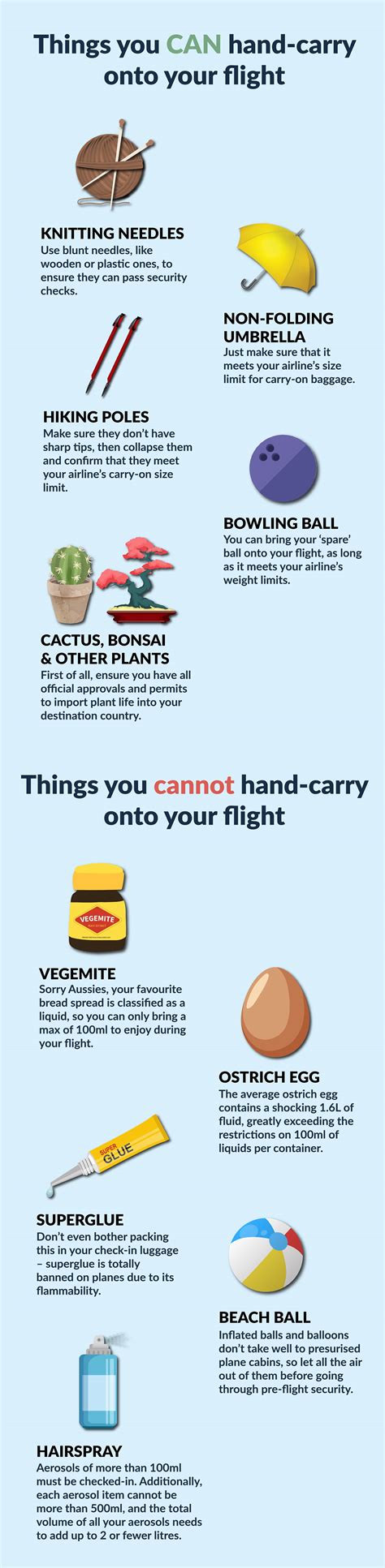 What items cannot bring in flight