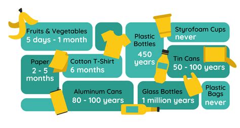 What items never decompose