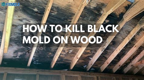 What kills mold on wood. To try and kill mold beneath the surface, residents can spray undiluted white vinegar onto the affected area and let it dry. The vinegar smell is likely to dissipate once the surface is completely ... 