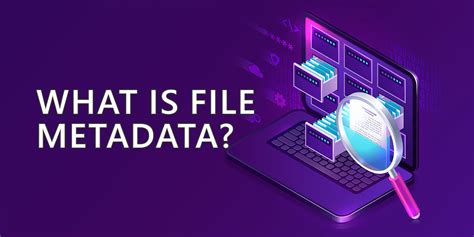 What kind of File Metadata do I Have Already? - TEAM IM