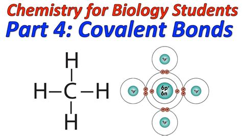 What kind of chemical bond is CCl4? Is it covalent bond …