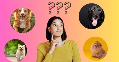 What kind of dog should we get