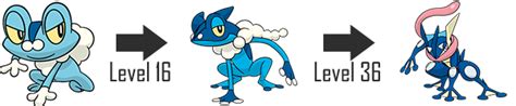 What level does frogadier evolve. What level does Froakie evolve? Froakie (Japanese: ケロマツ Keromatsu) is a Water-type Pokémon introduced in Generation VI. It evolves into Frogadier starting at level 16, which evolves into Greninja starting at level 36. Along with Chespin and Fennekin, Froakie is one of three starter Pokémon of Kalos available at the beginning of ... 